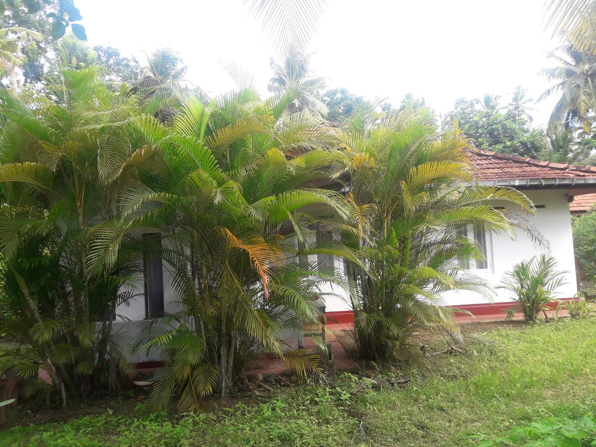 Hotel International Meditation Center Mirissa Exterior foto