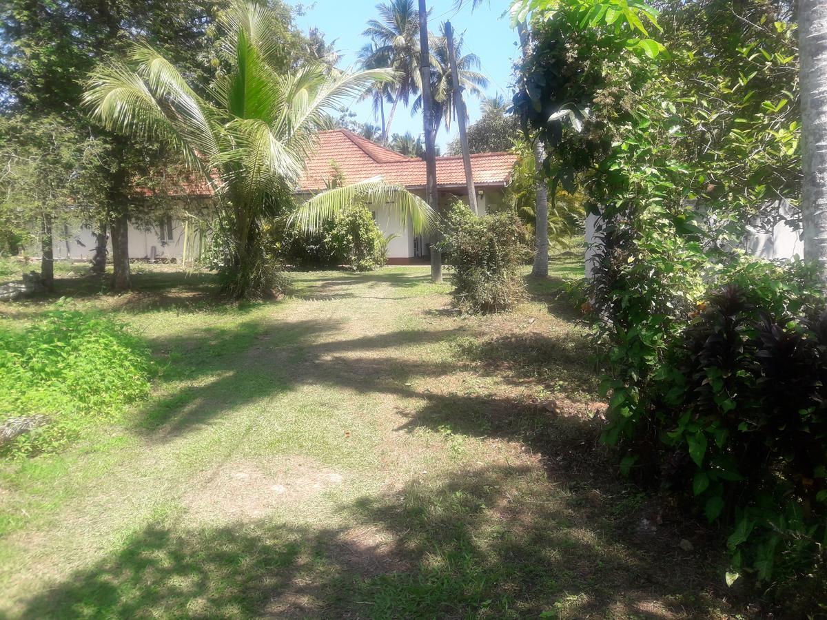 Hotel International Meditation Center Mirissa Exterior foto